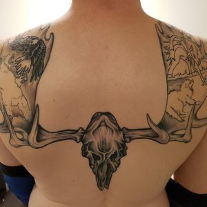 Meet your Posher, Steven